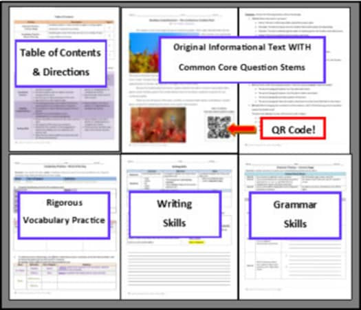 ELA Emergency Sub Plans - 7th Grade